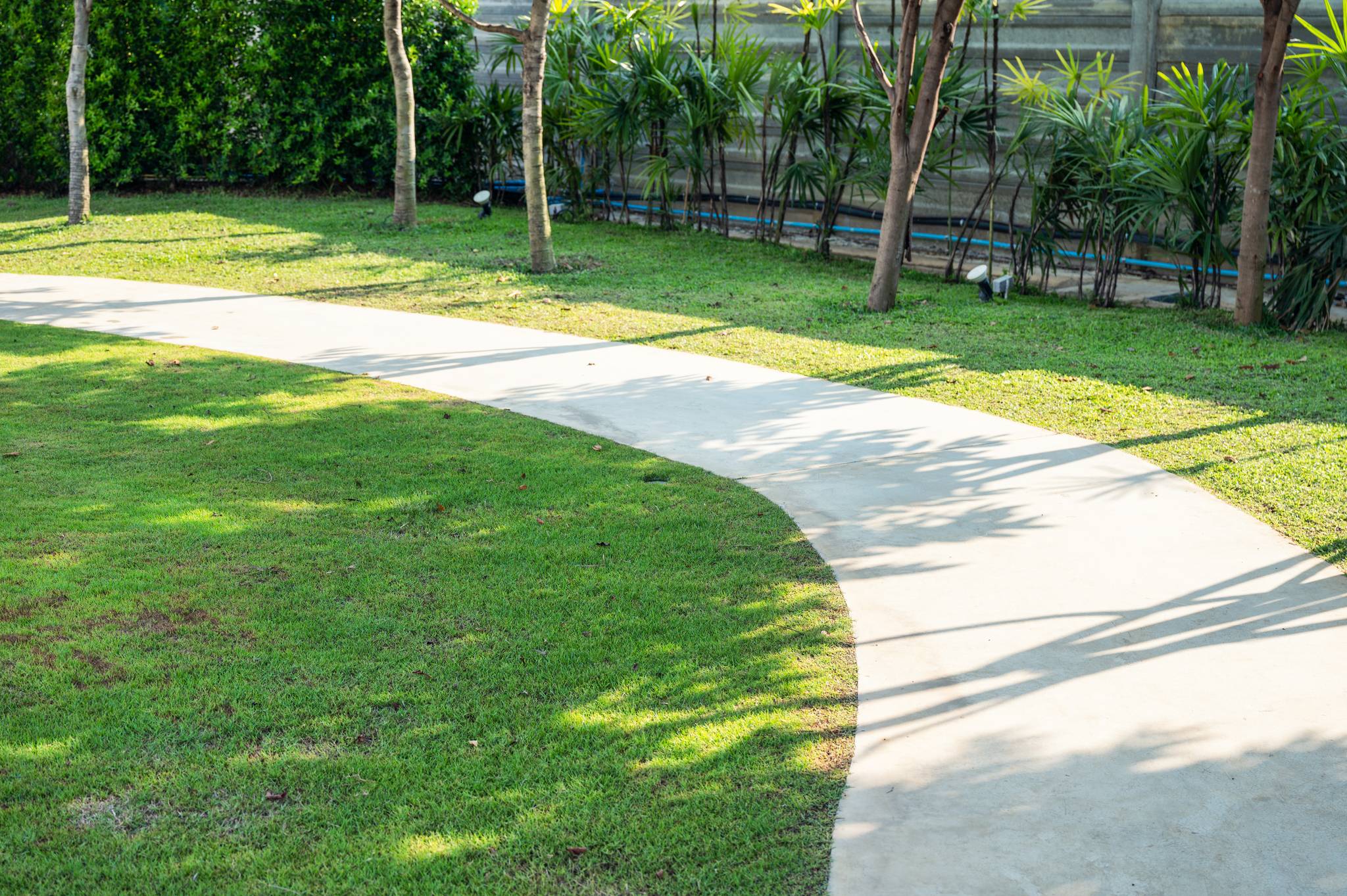 Curved concrete pathway through green lawn